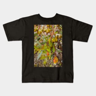 Gumnuts 1 Kids T-Shirt